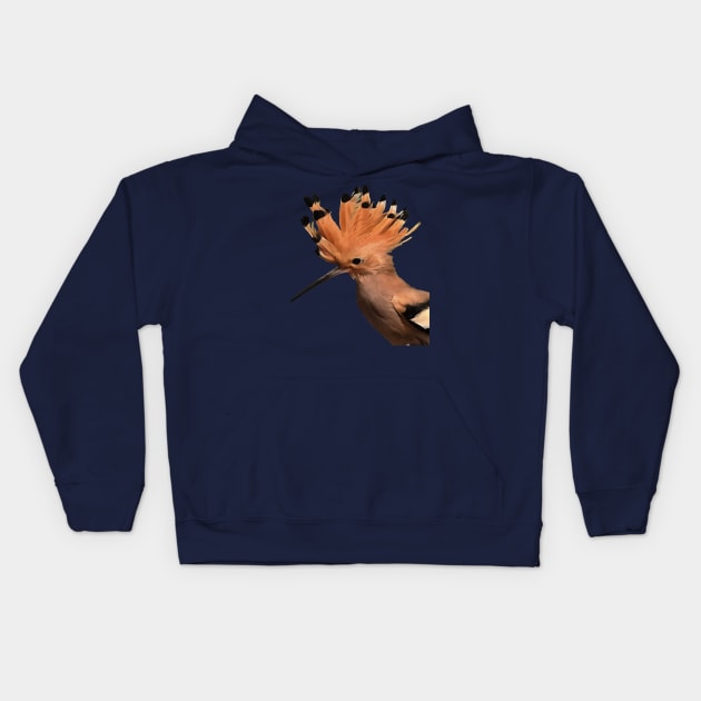 Moxie Hoopoe Bird With Crown Of Feathers Kids Hoodie by taiche